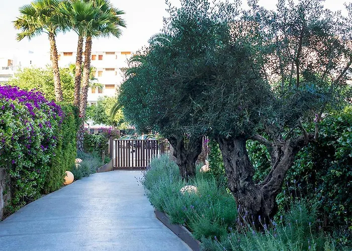 Dog Friendly Hotels in Ibiza Town