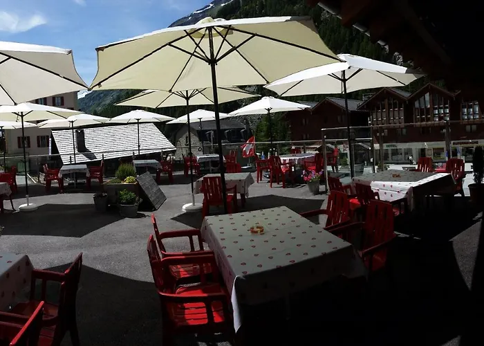 Dog Friendly Hotels in Zinal