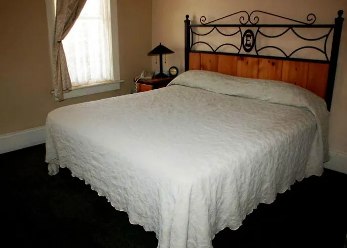 Dog Friendly Hotels in Clayton