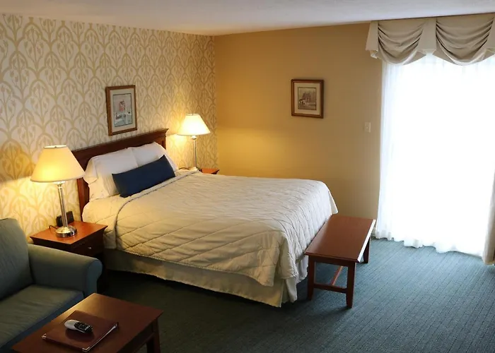 Dog Friendly Hotels in Harrisonburg