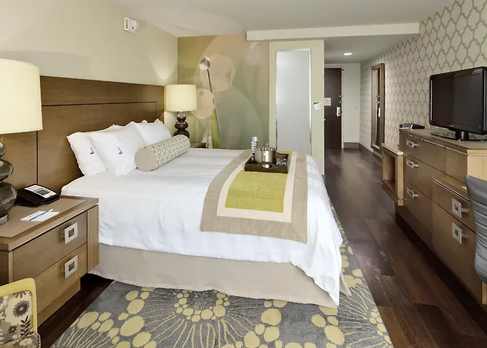Dog Friendly Hotels in Riverhead