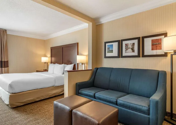 Dog Friendly Hotels in Carlisle