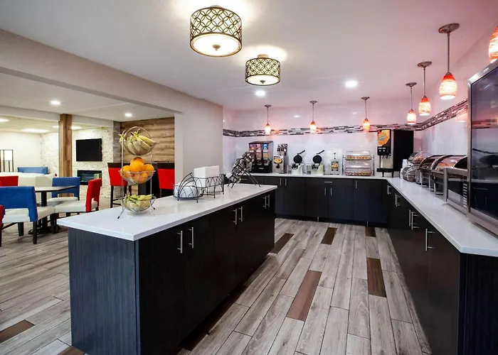 Dog Friendly Hotels in Traverse City