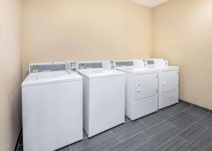 Dog Friendly Hotels in Clinton