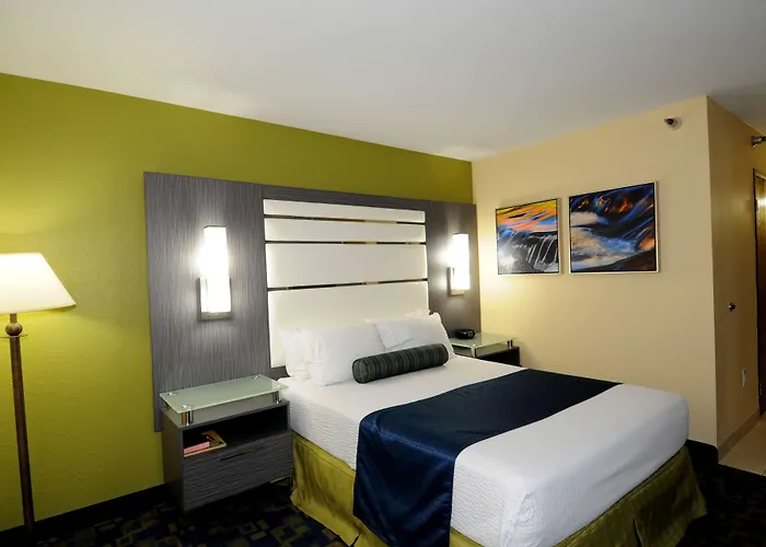 Dog Friendly Hotels in Red Bluff