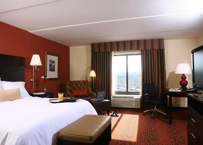 Dog Friendly Hotels in Canton