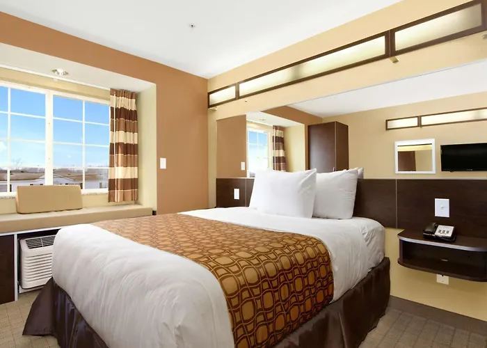 Dog Friendly Hotels in Shelbyville