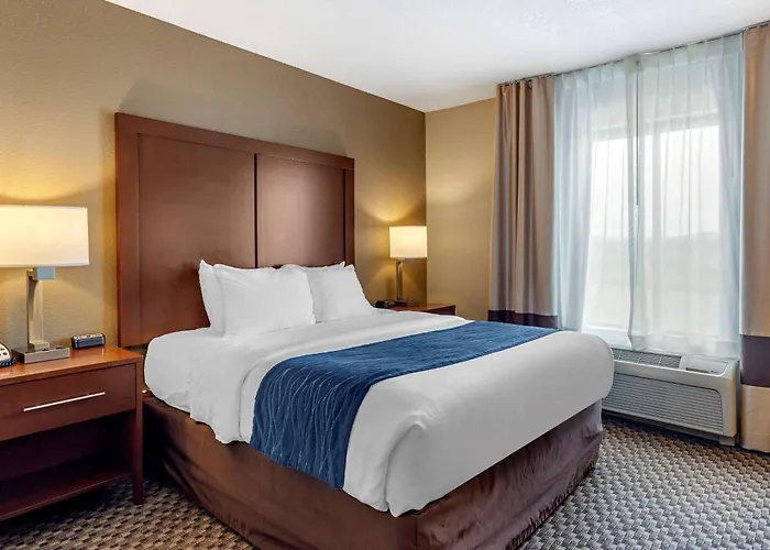 Dog Friendly Hotels in Blue Ridge