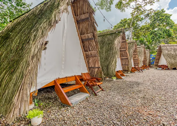 Dog Friendly Hotels in La Fortuna