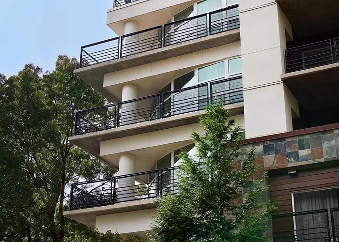 Dog Friendly Hotels in Portland