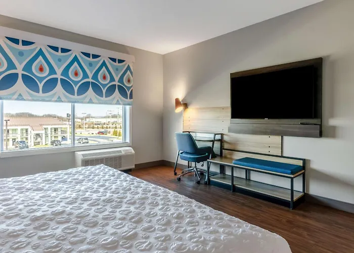 Dog Friendly Hotels in Christiansburg