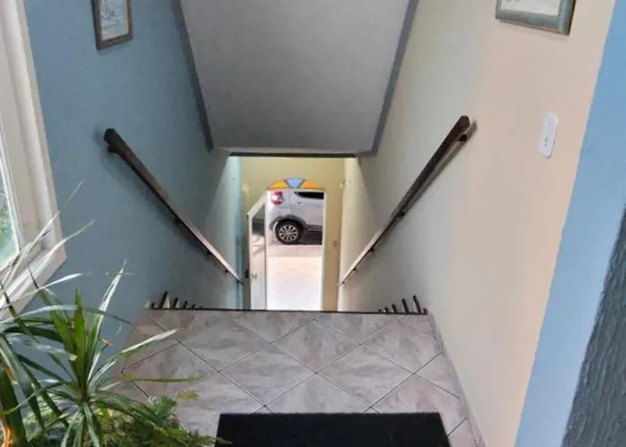 Dog Friendly Hotels in Cabo Frio