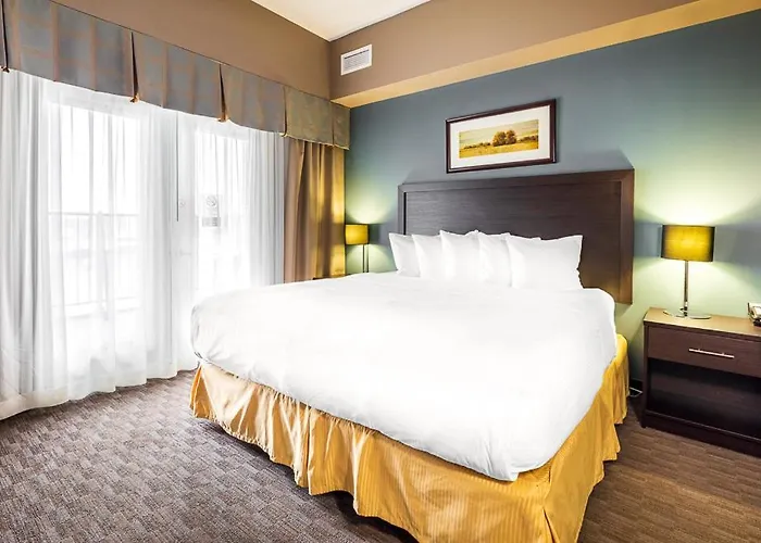 Dog Friendly Hotels in Victoriaville