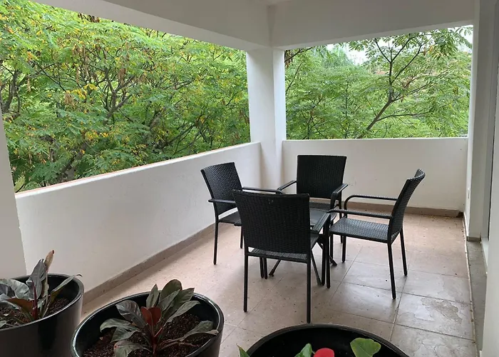 Dog Friendly Hotels in Guanajuato