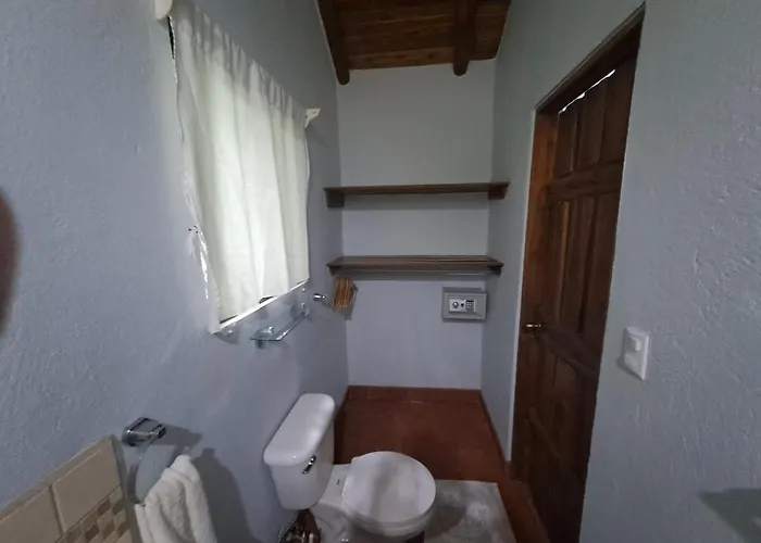 Dog Friendly Hotels in Nosara