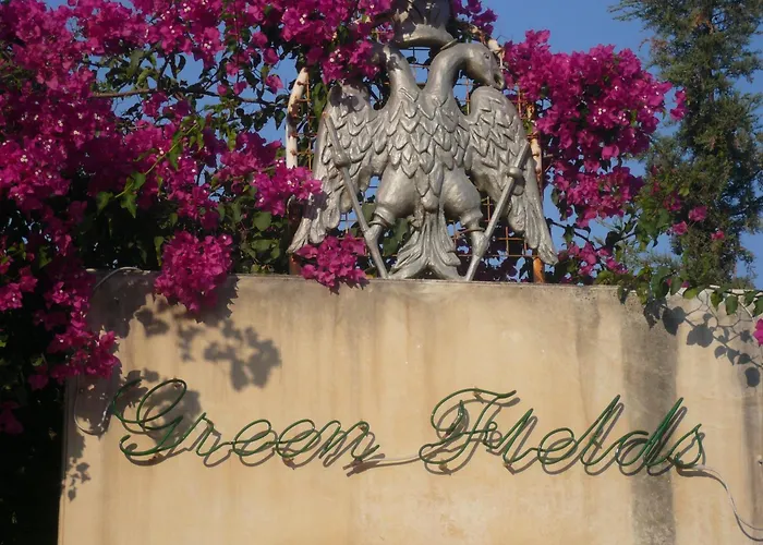 Dog Friendly Hotels in Limassol