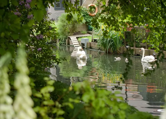 Dog Friendly Hotels in Bruges
