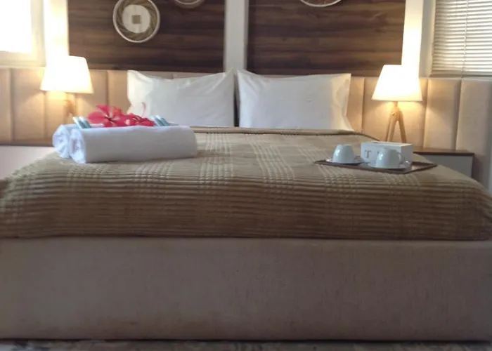 Dog Friendly Hotels in Maputo