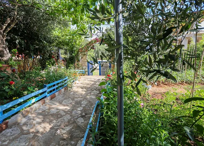 Dog Friendly Hotels in Himare