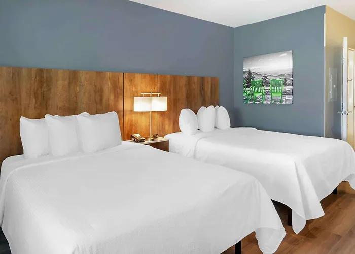 Dog Friendly Hotels in Captiva Island