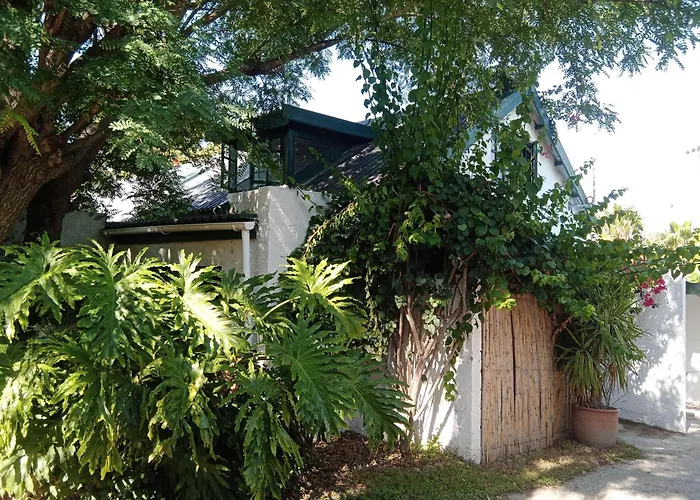 Dog Friendly Hotels in Stellenbosch
