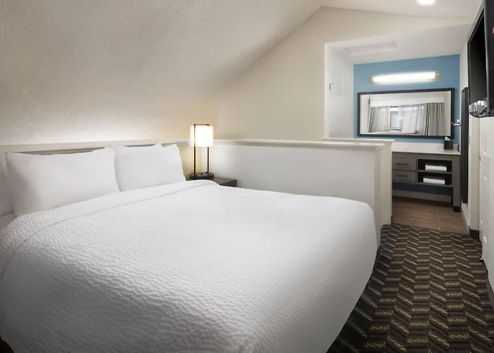 Dog Friendly Hotels in San Mateo
