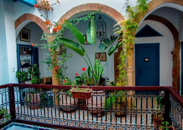 Dog Friendly Hotels in Safi