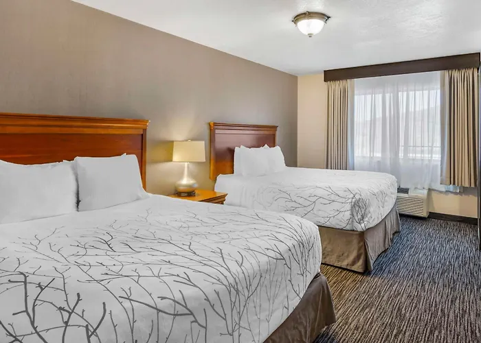 Dog Friendly Hotels in Park City