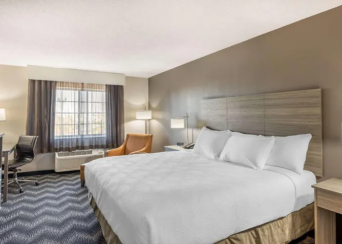 Dog Friendly Hotels in Bolingbrook