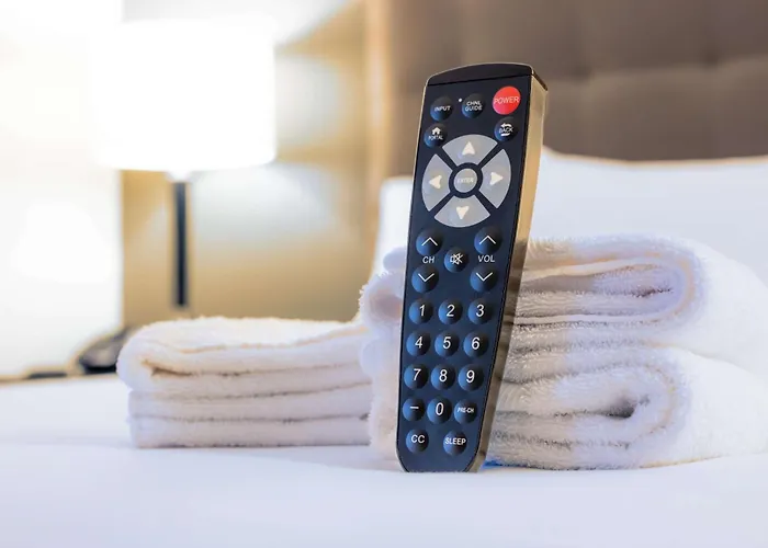 Dog Friendly Hotels in Mason