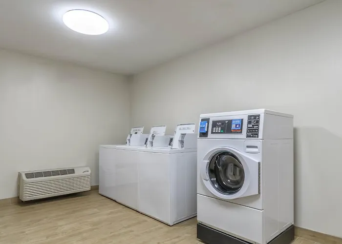 Dog Friendly Hotels in Southfield