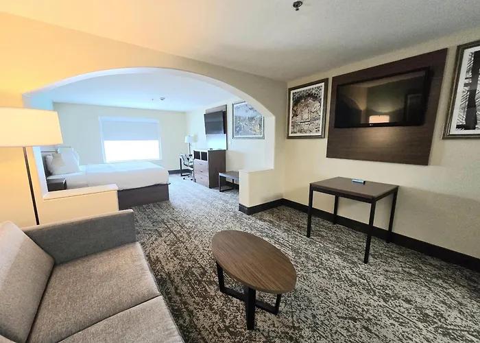Dog Friendly Hotels in Harlingen