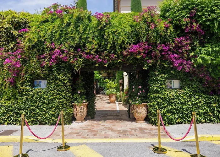 Dog Friendly Hotels in Juan-les-Pins
