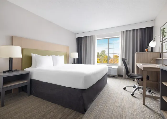 Dog Friendly Hotels in Springfield