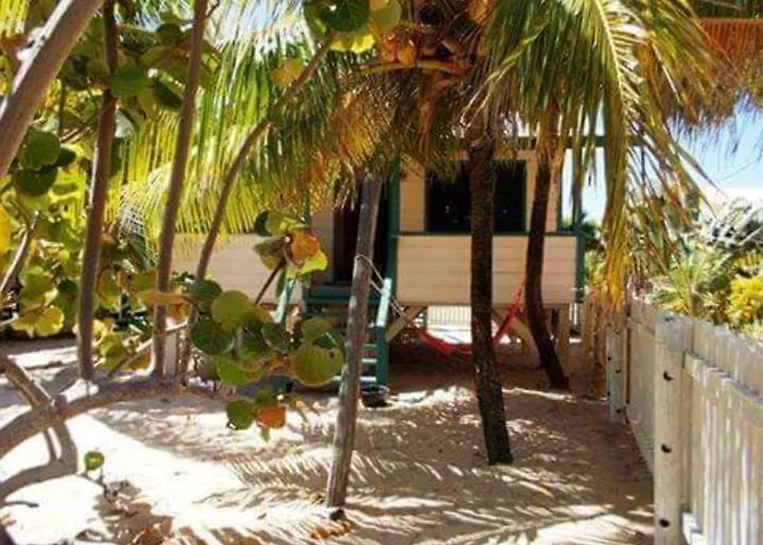 Dog Friendly Hotels in Placencia