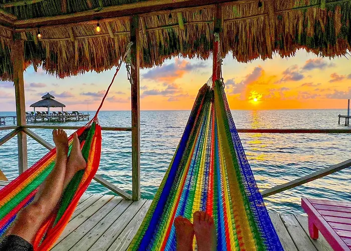 Dog Friendly Hotels in Caye Caulker