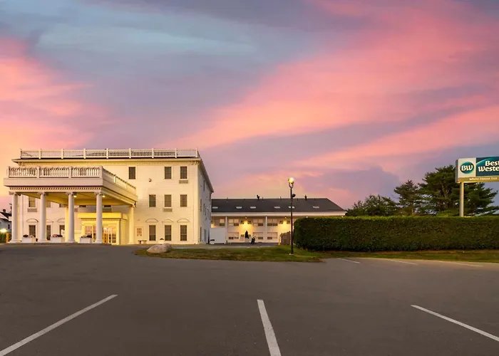 Dog Friendly Hotels in Bangor