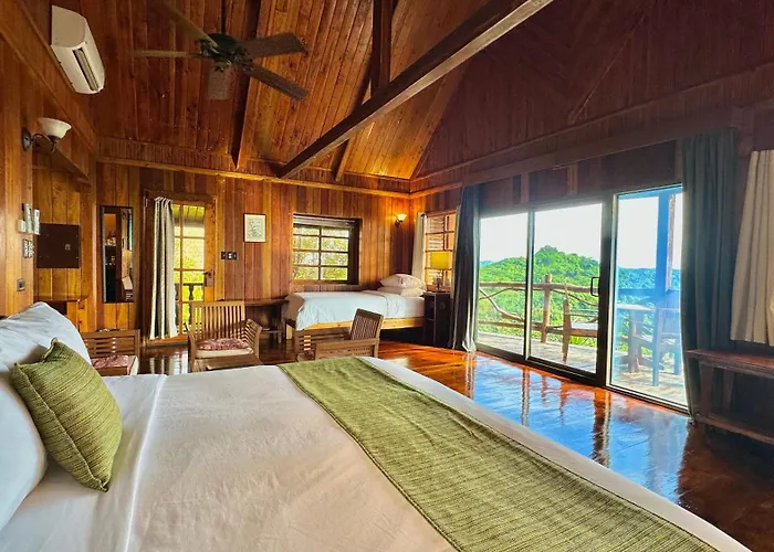 Dog Friendly Hotels in Koror