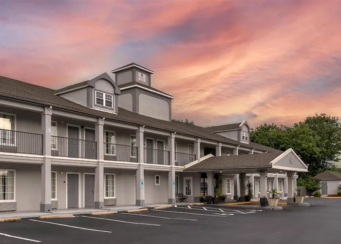 Dog Friendly Hotels in Asheboro