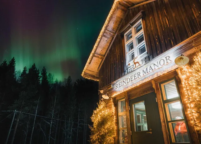 Dog Friendly Hotels in Levi