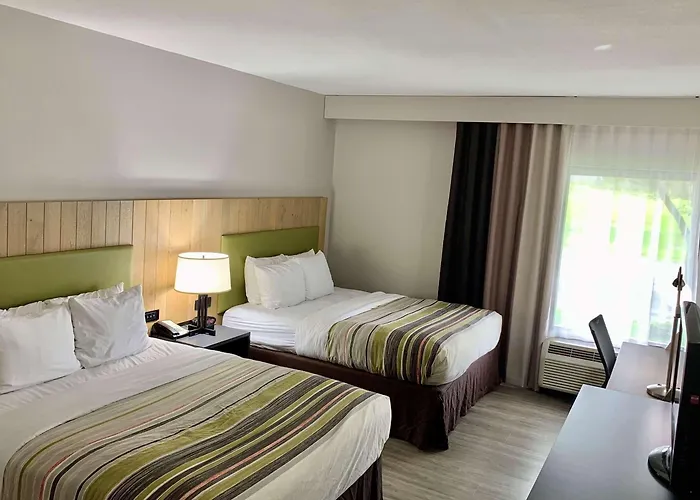Dog Friendly Hotels in Milan