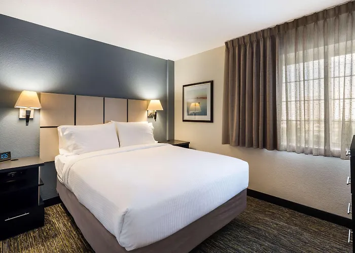 Dog Friendly Hotels in Warren