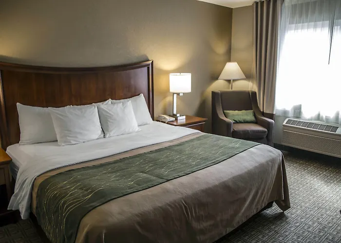 Dog Friendly Hotels in Bradford