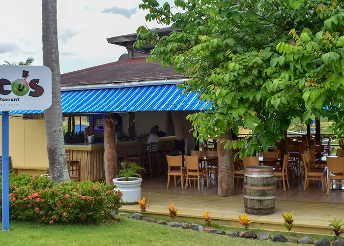 Dog Friendly Hotels in Aguadilla