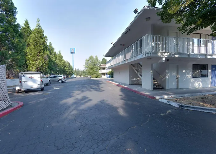 Dog Friendly Hotels in Weed