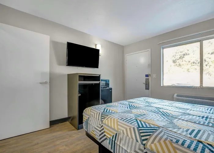 Dog Friendly Hotels in Venice