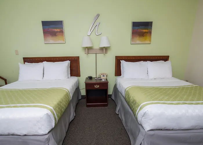 Dog Friendly Hotels in Fairborn