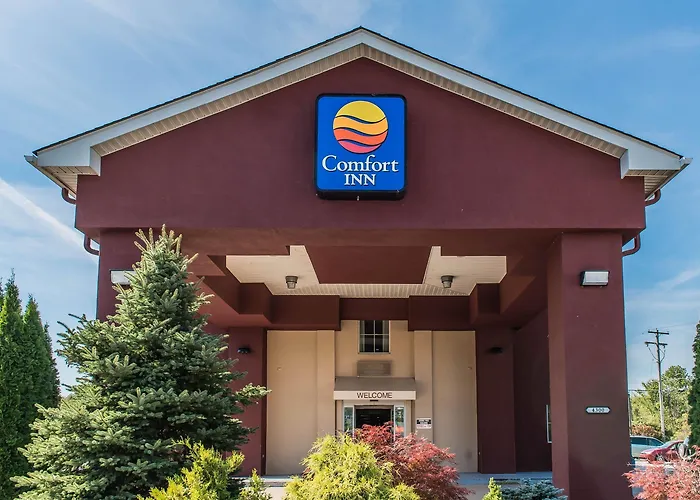 Dog Friendly Hotels in Belle Vernon