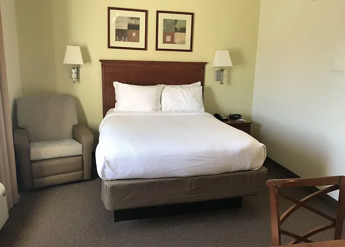 Dog Friendly Hotels in Vicksburg