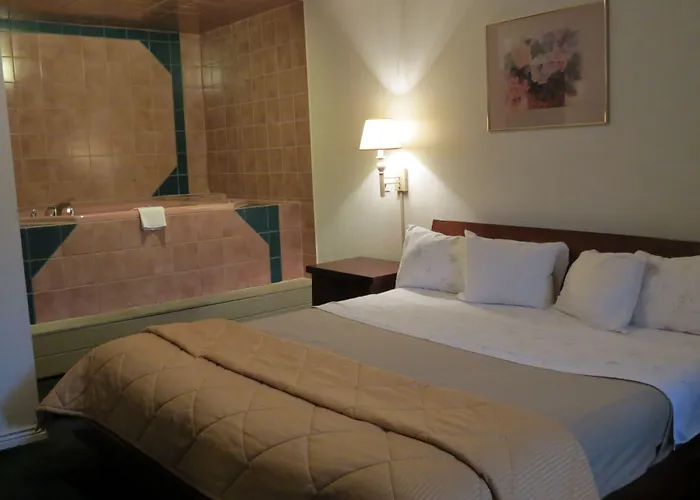 Dog Friendly Hotels in Manitou Springs